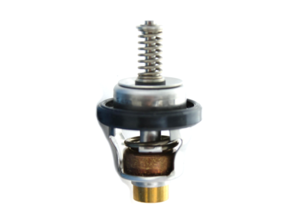 Suzuki Thermostat (17670-87D11)